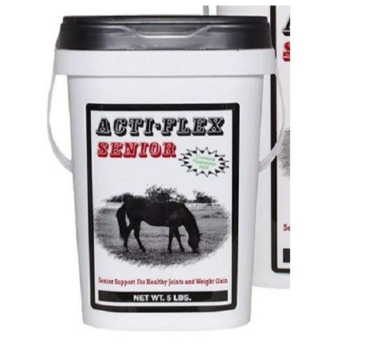 Best Weight Gain Supplement For Senior Horses The Pet Well