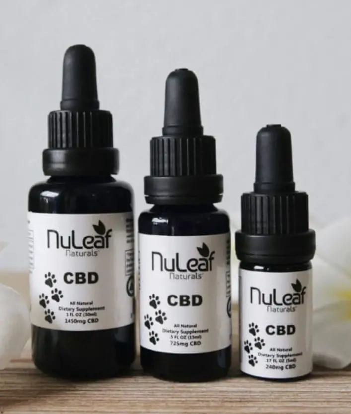 Best CBD Oils For Dogs 2019 The Pet Well