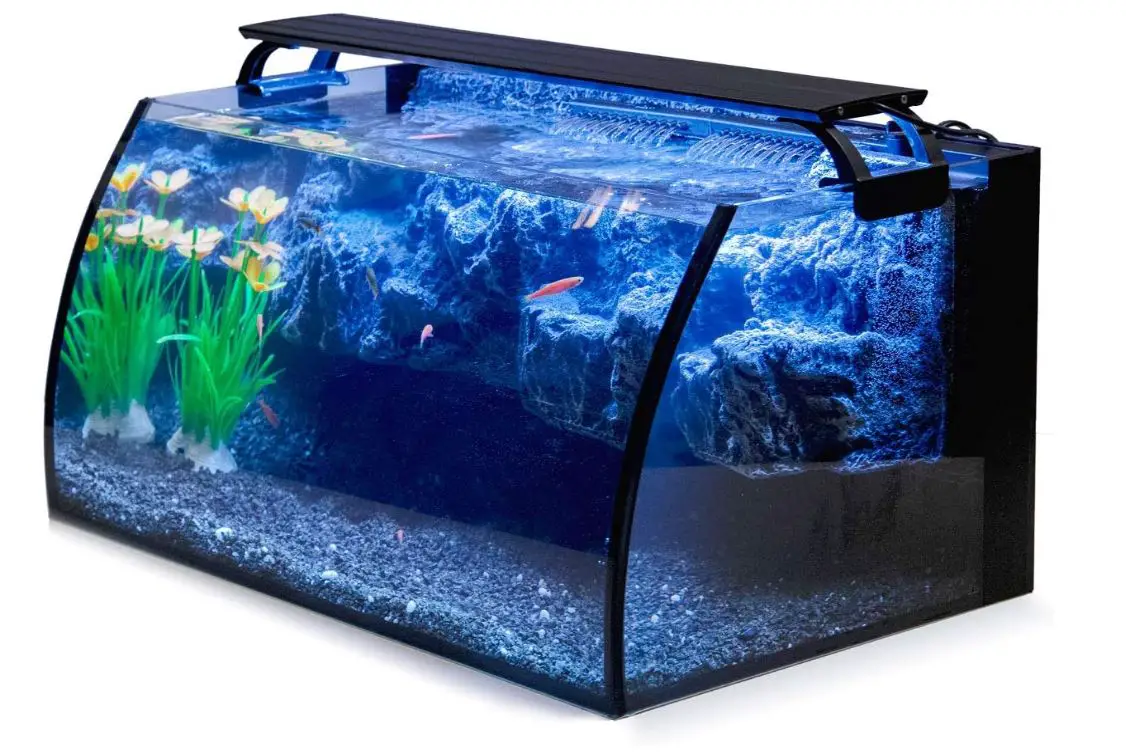 Best Axolotl Tanks On Amazon 2022 The Pet Well