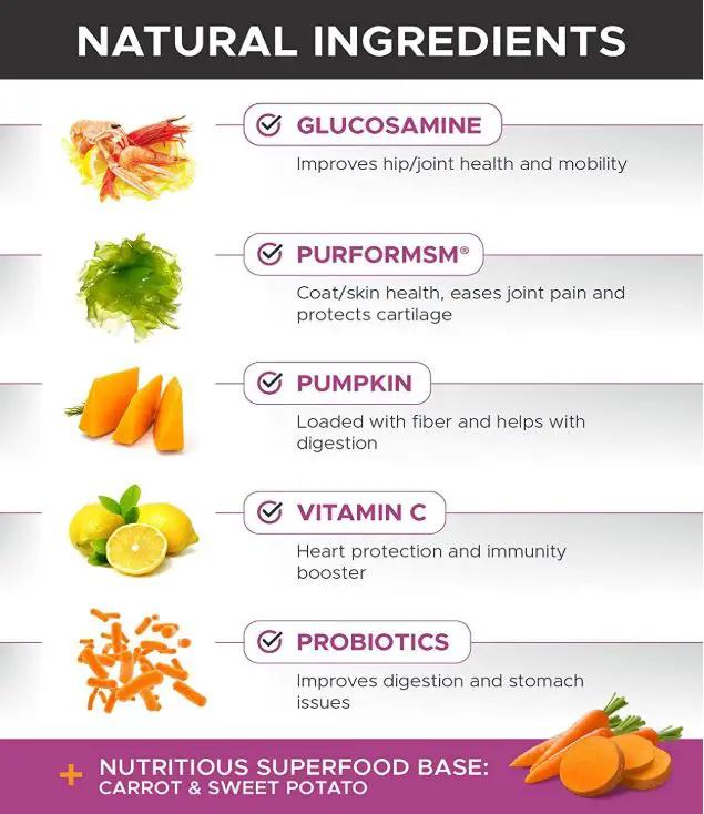 Pet Honesty 10 in 1 Dog Multivitamin Supplement Review The Pet Well