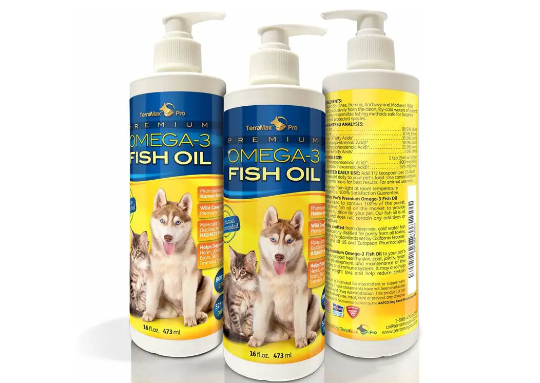 Benefits Of Fish Oil For Dogs - Must Read Guide - The Pet Well