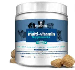 Best Multivitamins For Dogs 2022 - The Pet Well