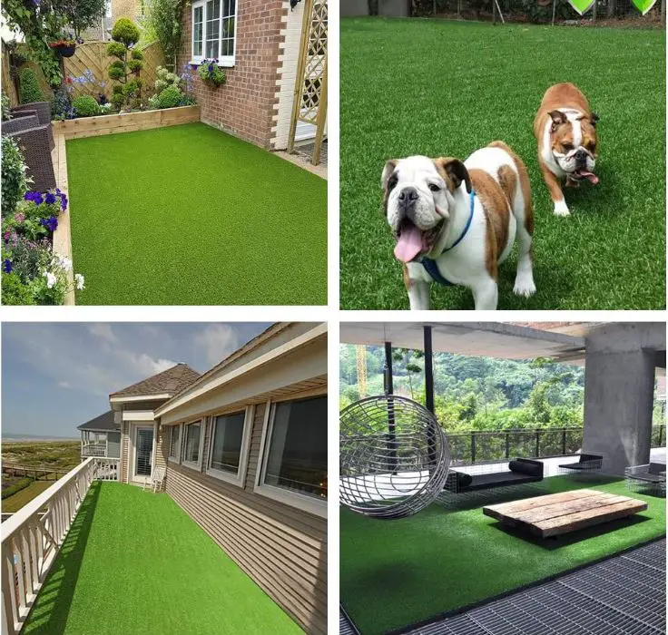 Best Artificial Turf For Dogs 2022 - Read Before You Buy - The Pet Well